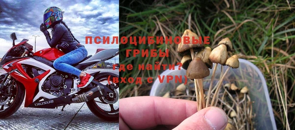 герыч Арсеньев