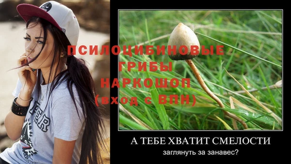 а пвп мука Армянск