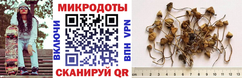 Галлюциногенные грибы Magic Shrooms  что такое наркотик  Щигры 